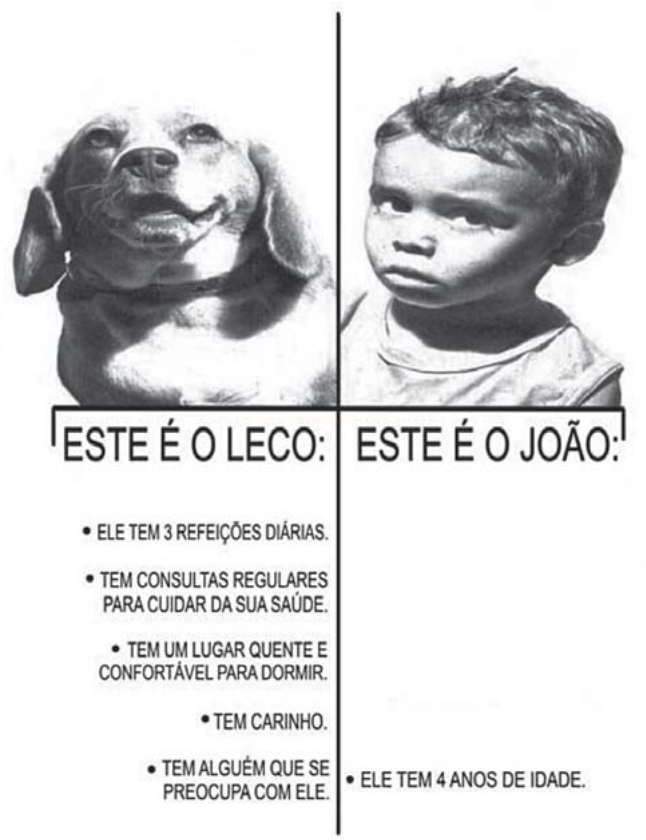 Comparação em preto e branco entre um cachorro (Leco) e um menino (João), com listas de itens abaixo.