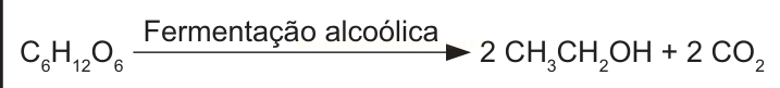 Esquema da fermentação alcoólica: C6H12O6 transforma-se em 2 CH3CH2OH e 2 CO2.