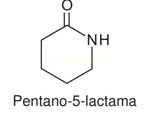 Fórmula estrutural de um anel de seis membros com grupo carbonila e NH, identificada como pentano-5-lactama.