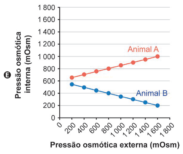 Gráfico E: a pressão interna do Animal A sobe de cerca de 660 para 1010, enquanto a do Animal B cai de cerca de 550 para 210 mOsm.