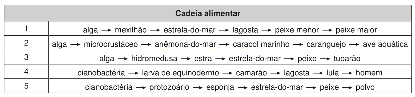 Tabela com cinco cadeias alimentares marinhas numeradas de 1 a 5, cada uma com seis organismos ligados por setas.