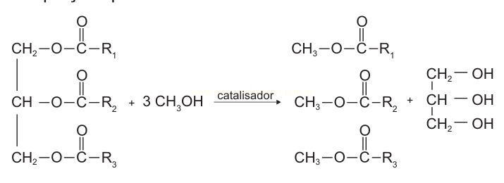 Equação de transesterificação de um triglicerídeo com metanol, produzindo ésteres metílicos e glicerol.