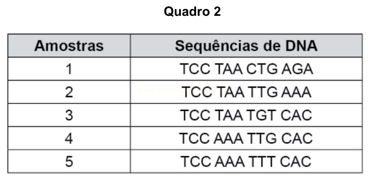 Quadro 2: tabela com cinco amostras numeradas e suas respectivas sequências de DNA.