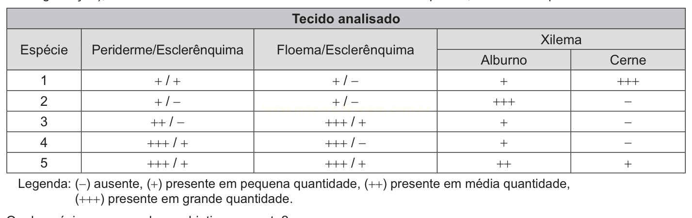 Tabela com a ocorrência de tecidos (periderme, floema e xilema) em cinco espécies, usando símbolos de + a +++.