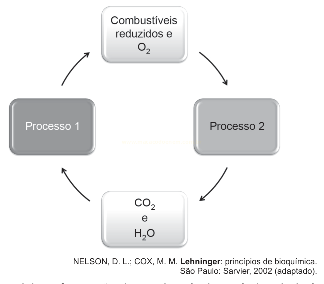 Diagrama cíclico com quatro etapas (combustíveis e O₂, Processo 2, CO₂ e H₂O, Processo 1) conectadas por setas em sentido horário.