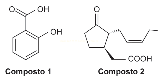 Duas estruturas químicas identificadas como Composto 1 e Composto 2.