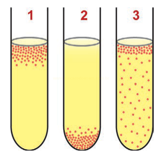 Três tubos de ensaio com líquido amarelo e partículas vermelhas distribuídas de formas diferentes.