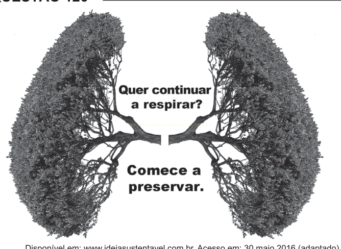 Ilustração em preto e branco de pulmões formados por copas de árvores, com mensagem sobre preservação.