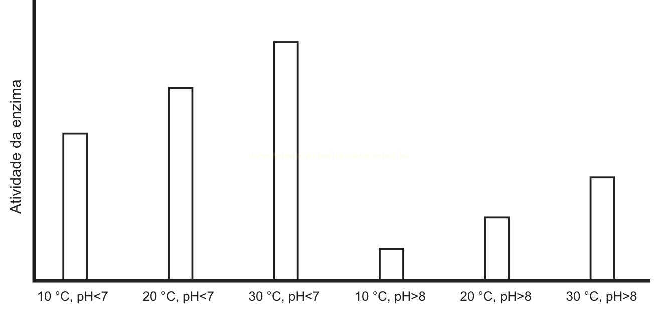 Gráfico de barras da atividade de uma enzima em diferentes temperaturas e valores de pH.