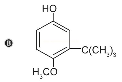 Estrutura química B: anel benzênico com os grupos HO, H₃CO e C(CH₃)₃.