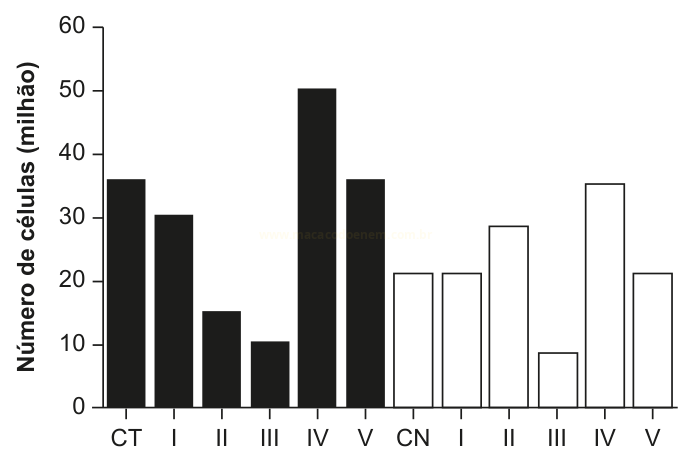 Gráfico de barras com o número de células em milhões para os grupos CT, I a V e CN, I a V.