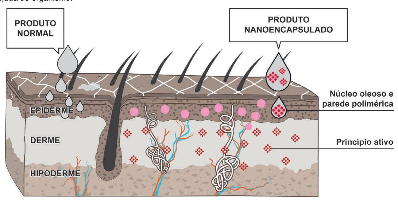 Corte da pele comparando produto normal, que fica na superfície, com produto nanoencapsulado, que penetra até a derme.