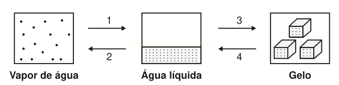 Esquema dos estados físicos da água com setas numeradas entre vapor, água líquida e gelo.