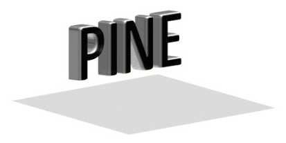 Palavra PINE em letras tridimensionais flutuando sobre um plano retangular claro, sem sombra projetada.