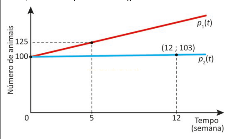 Gráfico com duas linhas de crescimento populacional: uma crescente, p₁(t), e outra praticamente constante, p₂(t).