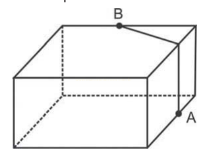 Prisma retangular em perspectiva com os pontos A e B marcados em suas arestas.