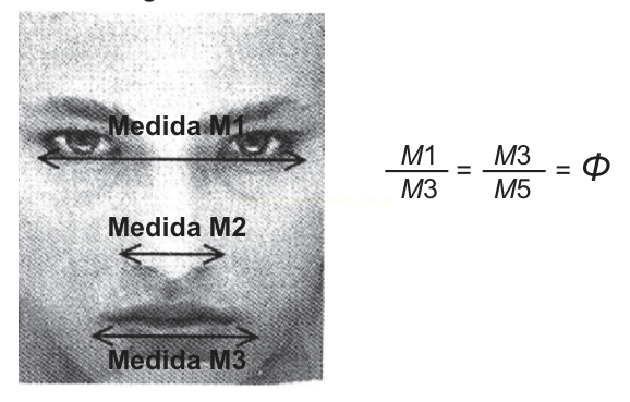 Rosto humano com medidas M1, M2 e M3 indicadas, ao lado da expressão M1/M3 = M3/M5 = Φ.