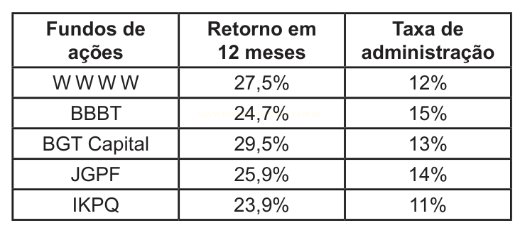 Tabela com retorno em 12 meses e taxa de administração de cinco fundos de ações.