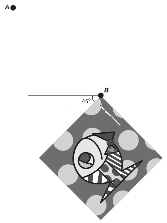 Ilustração do peixe estilizado rotacionada 45°, com os pontos A e B e ângulo de 45° indicado no vértice B.