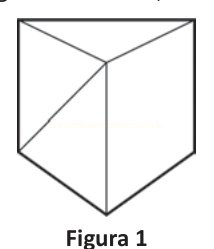 Desenho de um cubo em perspectiva com diagonais internas marcadas, identificado como Figura 1.