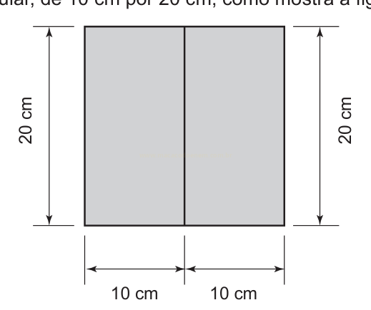 Desenho de um retângulo cinza de 20 cm de altura dividido em dois quadrados de 10 cm de largura cada.