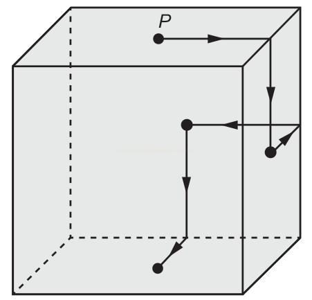 Cubo em perspectiva com trajetória em setas partindo do ponto P na face superior e percorrendo as faces até a base.