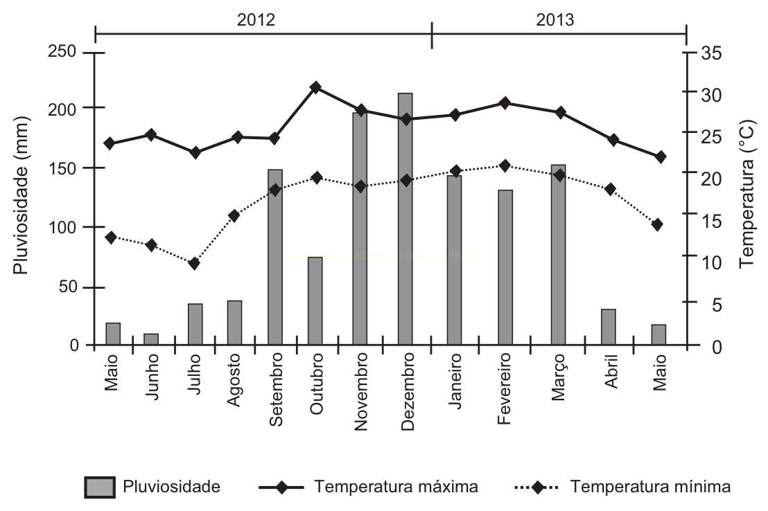 Gráfico de barras de pluviosidade e linhas de temperatura máxima e mínima, mês a mês, de maio de 2012 a maio de 2013.