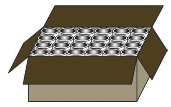 Ilustração de uma caixa de papelão aberta contendo 25 latas metálicas dispostas em fileiras.
