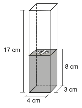 Bloco retangular transparente de 17 cm de altura, com base de 4 cm por 3 cm e um volume interno sombreado de 8 cm de altura.