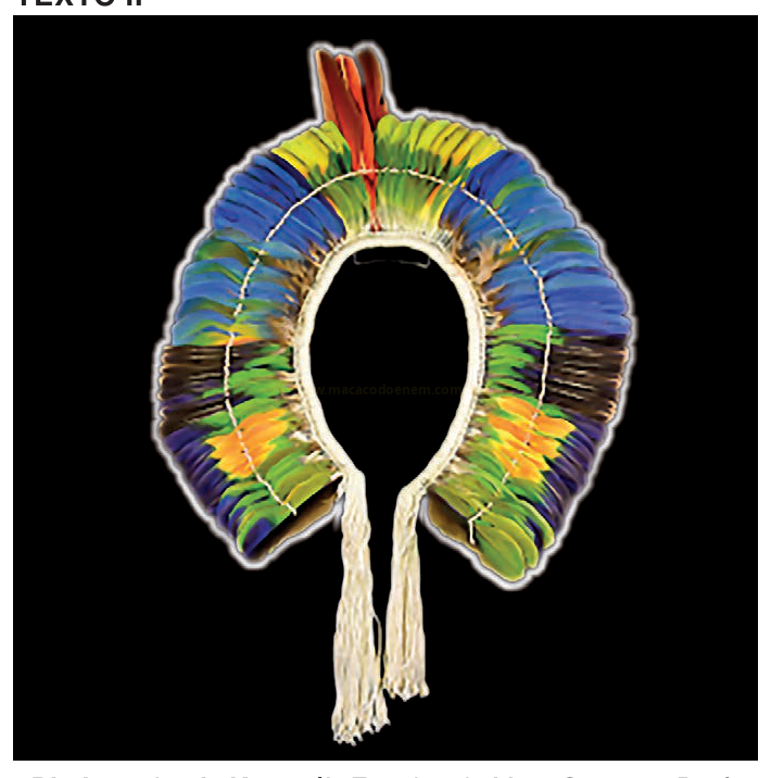 Fotografia de um cocar de penas coloridas sobre fundo preto, com cordões brancos pendentes.