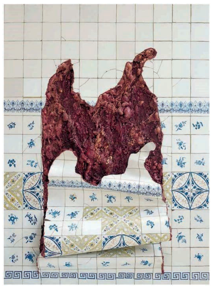 Fotografia de uma grande massa de carne pendurada sobre parede de azulejos decorativos.