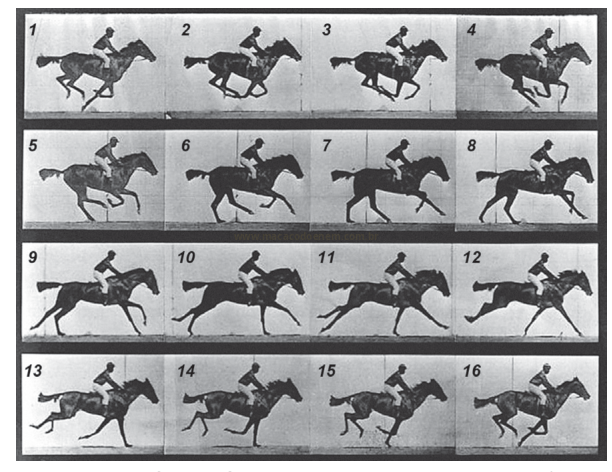 Sequência de 16 quadros numerados mostrando um homem a cavalo em diferentes fases do galope.