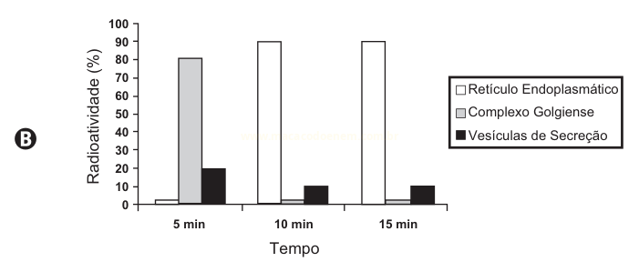 Gráfico B: em 5 min predomina o complexo golgiense; em 10 e 15 min predomina o retículo endoplasmático.