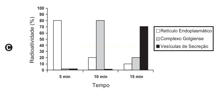 Gráfico C: predomínio do retículo em 5 min, do complexo golgiense em 10 min e das vesículas de secreção em 15 min.