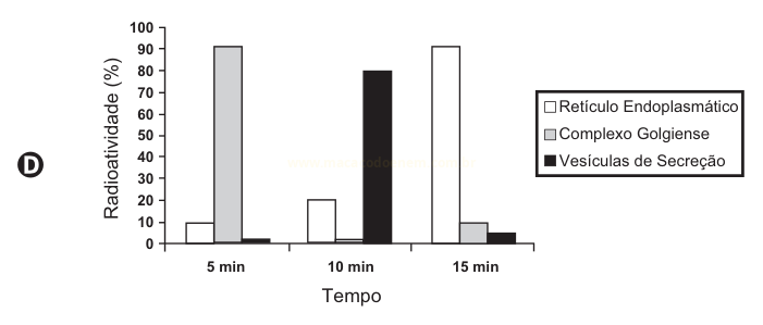 Gráfico D: complexo golgiense elevado em 5 min, vesículas de secreção elevadas em 10 min e retículo endoplasmático elevado em 15 min.