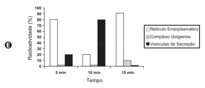 Gráfico E: retículo elevado em 5 min, vesículas de secreção elevadas em 10 min e retículo novamente elevado em 15 min.
