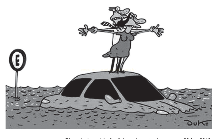 Charge de um carro submerso com uma mulher e um animal sobre o teto, ao lado de uma placa com a letra E.
