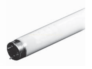 Lâmpada fluorescente tubular branca, com o terminal metálico em destaque, sobre fundo branco.