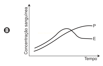 Gráfico B: as curvas E e P se cruzam; E sobe rápido e cai, enquanto P termina mais alta.