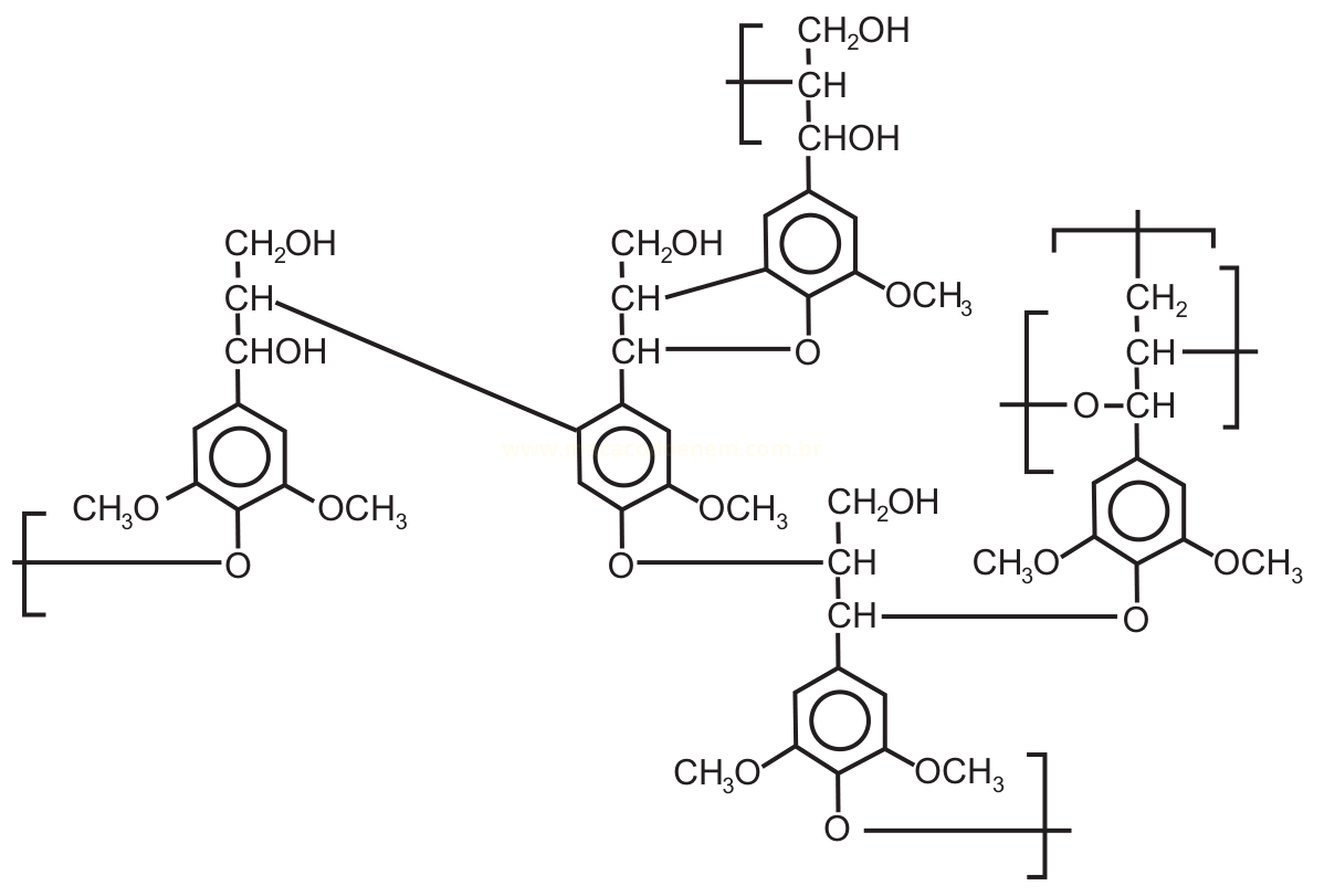 Fórmula estrutural de um composto com quatro anéis aromáticos ligados por cadeias com grupos CHOH, CH2OH e OCH3.