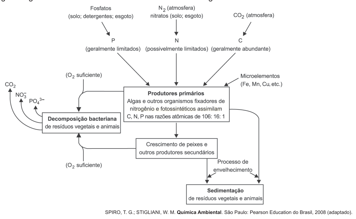 Diagrama de fluxo de nutrientes entre produtores primários, decomposição e sedimentação.