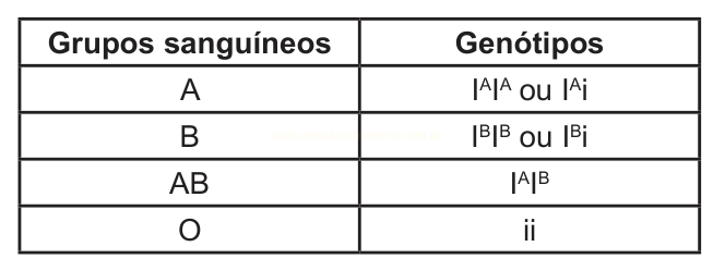 Tabela relacionando os grupos sanguíneos A, B, AB e O aos respectivos genótipos.