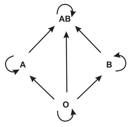 Diagrama em losango mostrando as doações possíveis entre os tipos sanguíneos A, B, AB e O.
