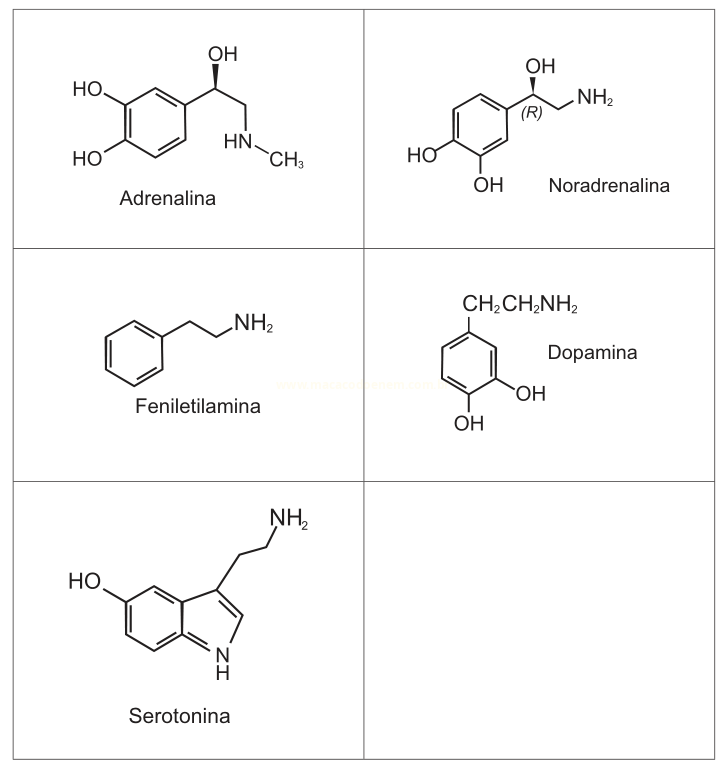 Cinco fórmulas estruturais de moléculas orgânicas: adrenalina, noradrenalina, feniletilamina, dopamina e serotonina.