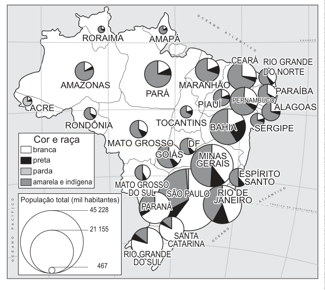 Mapa do Brasil com gráficos de pizza por estado mostrando a distribuição de cor e raça e o tamanho da população.