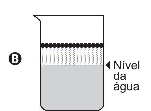 Béquer B quase cheio, com bolinhas na superfície e linhas onduladas logo abaixo do nível da água.