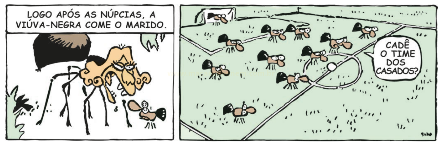 Tira em dois quadros sobre a aranha viúva-negra e um campo de futebol cheio de aranhas de chapéu.