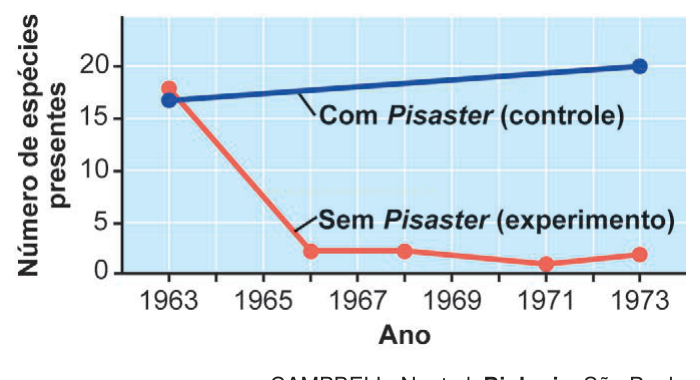 Gráfico de linhas comparando o número de espécies ao longo dos anos com e sem Pisaster.