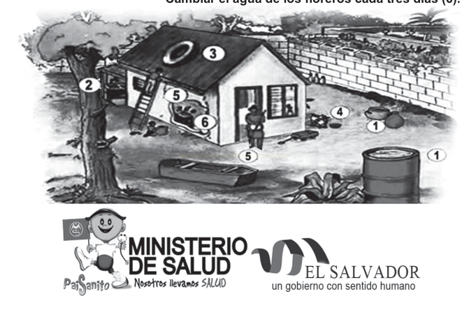 Ilustração de um quintal e uma casa com números de 1 a 6 marcando locais que podem acumular água.