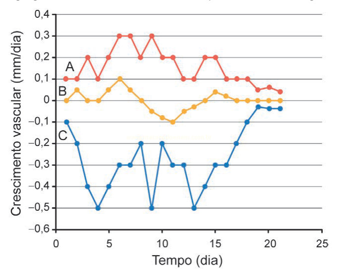 Gráfico de linhas comparando três séries de crescimento vascular ao longo de 21 dias, com a série vermelha acima de zero e a azul negativa.